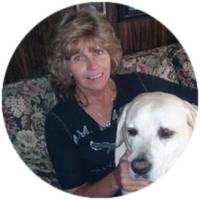Deb N.