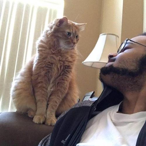 Dante J.