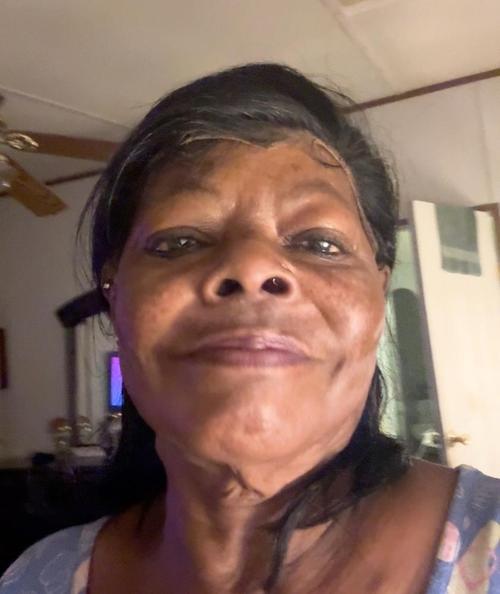 NELLIE LEWIS T.