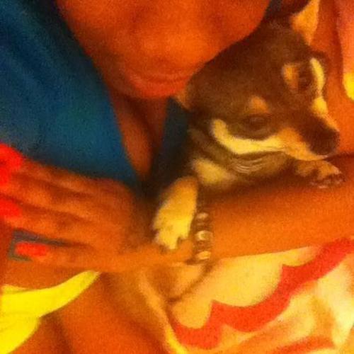 Brittney J.